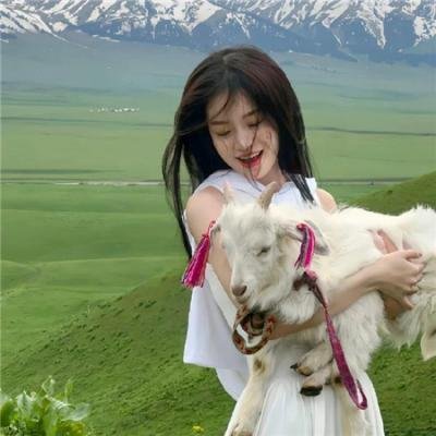 嗜血狂鲨